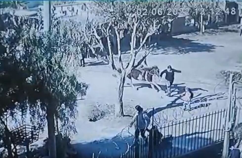 Impactante: un nene de 12 años atropelló con su caballo a dos mujeres. Una de ellas está grave