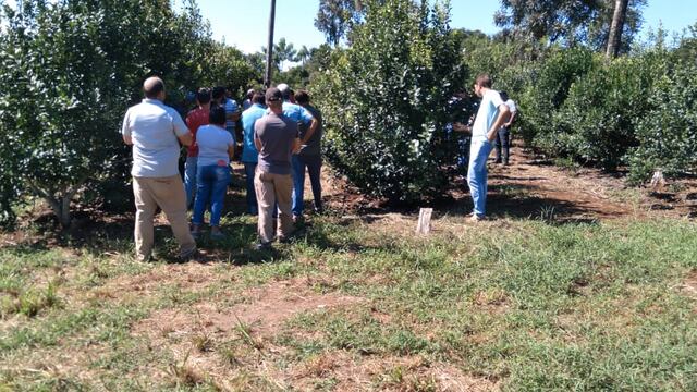 El Soberbio: capacitación a productores  de Yerba Mate