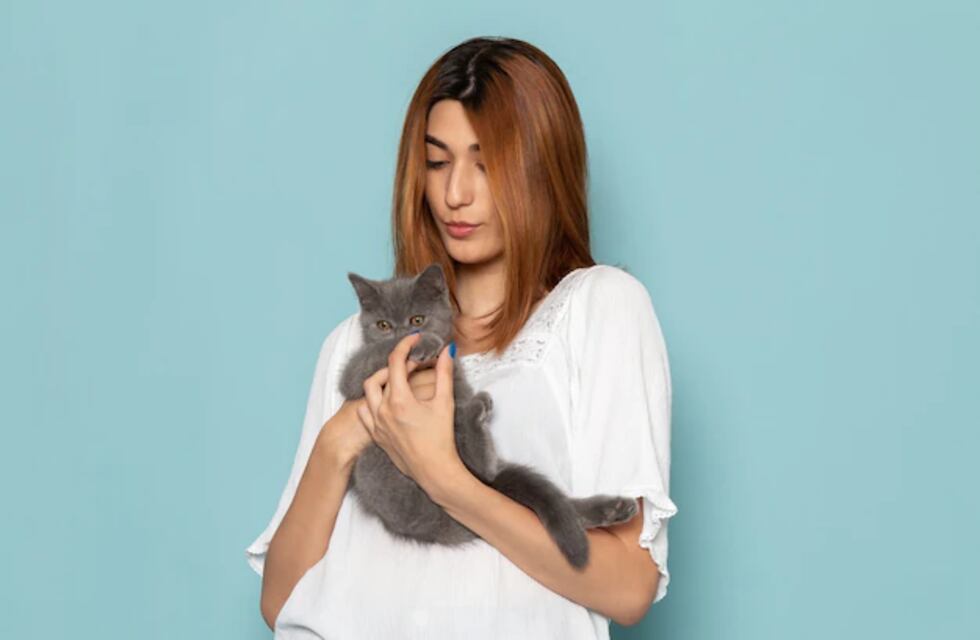 Se identifica como un gato, sus padres y escuela la apoyan y su historia se hizo viral