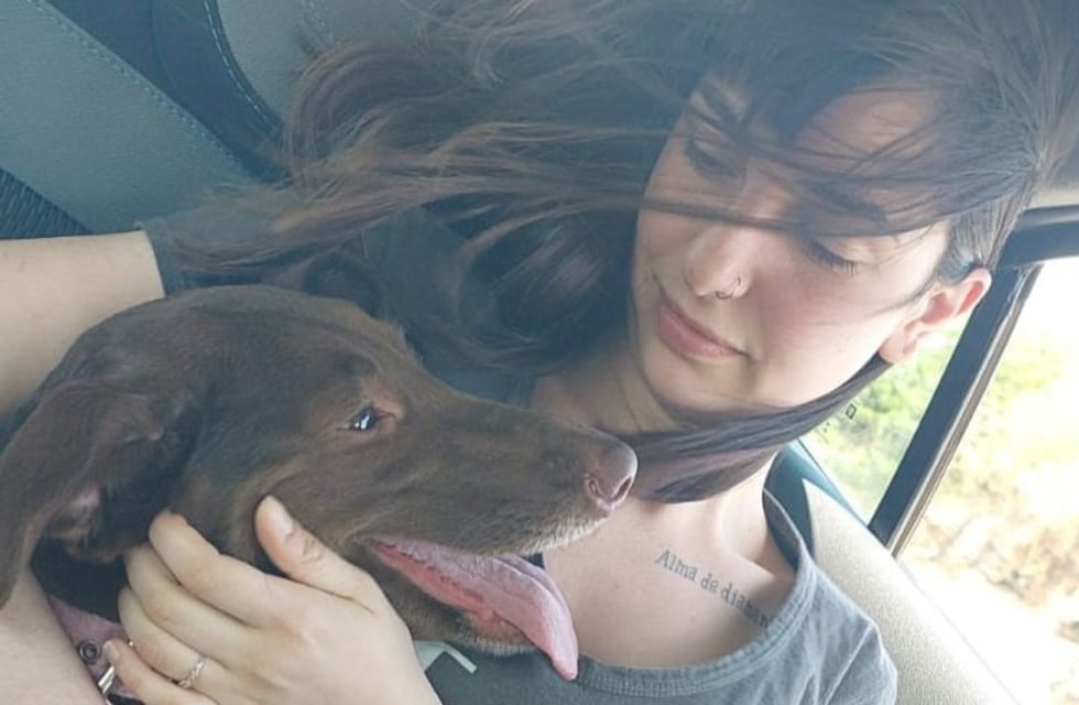 Se escapó de la guardería y el reencuentro con su dueña fue emocionante: conocé la historia de Juana