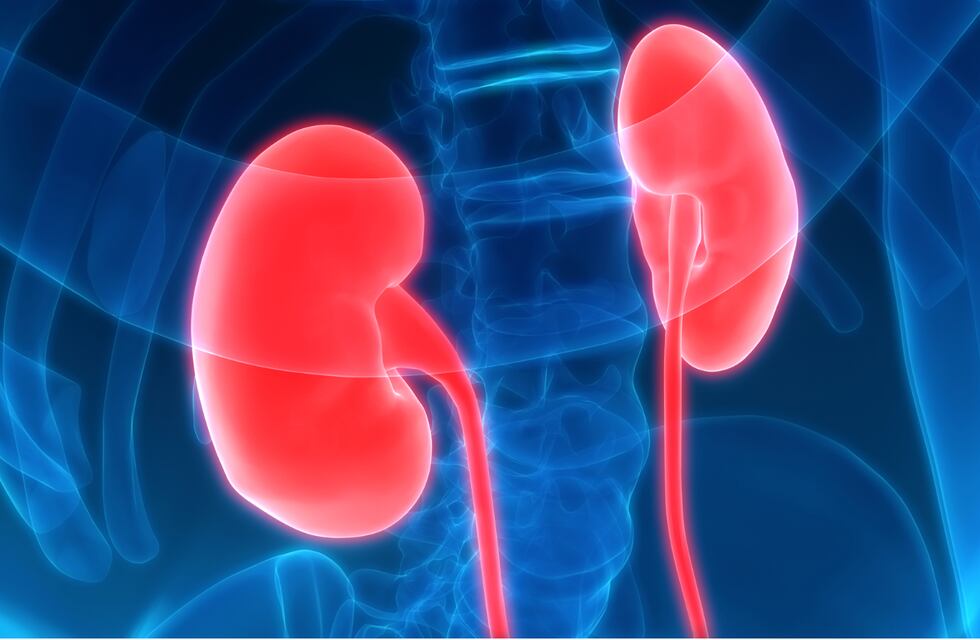 Día Mundial del Riñón: Jornada de concientización y controles en Rafaela