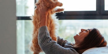 Por qué hay que tener un gato en casa, según el Feng Shui.