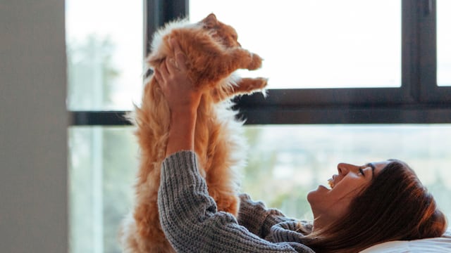 Por qué hay que tener un gato en casa, según el Feng Shui.