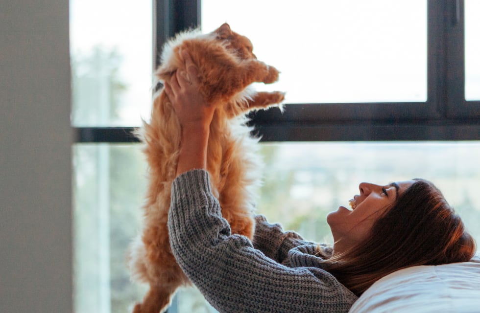 Por qué tener un gato trae múltiples beneficios para el hogar, según el Feng Shui