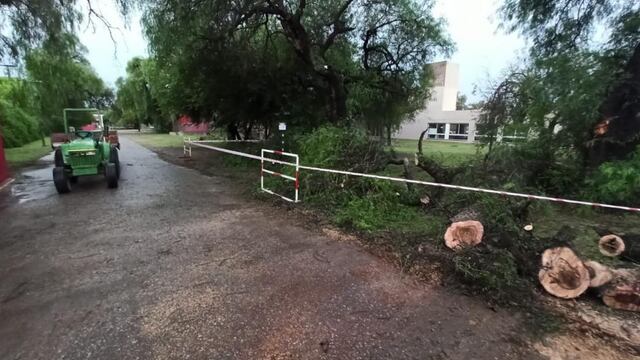 La tormenta dejó árboles caídos y calles inundadas en el sur de la ciudad.