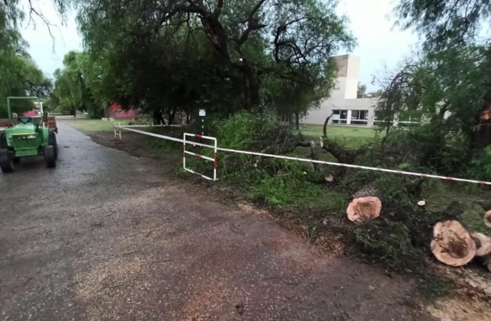 Ecos de la tormenta en Córdoba: tres familias evacuadas
