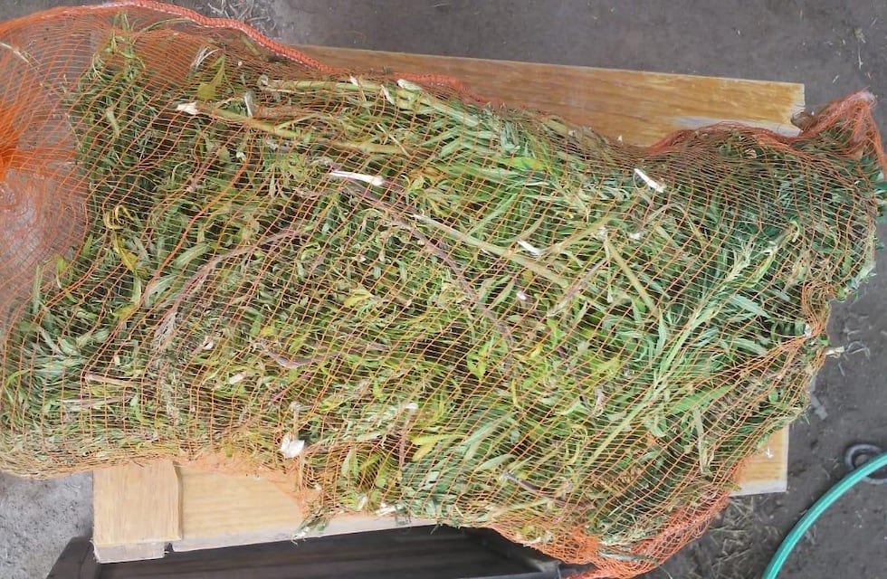 Los buscaban por un asalto violento y encontraron marihuana