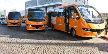 No habrá transporte urbano de pasajeros este domingo.
