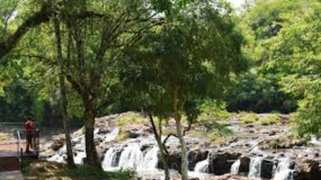 Se aclaró que los visitantes "deberán conocer todas las medidas sanitarias establecidas y cumplir estrictamente el protocolo para prevenir la propagación del virus".