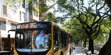 La Municipalidad de Córdoba hizo el anuncio previo al fin de semana.