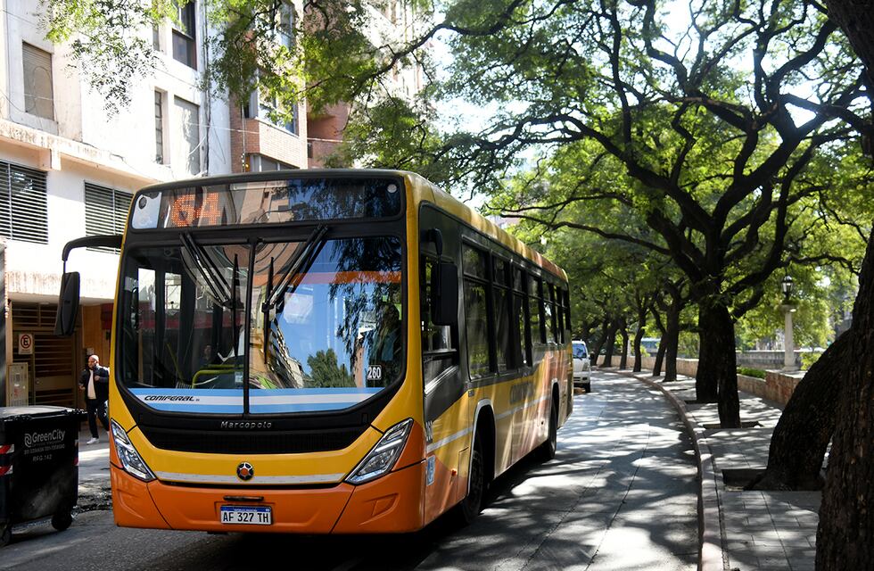 El transporte urbano será gratuito este domingo 18 de agosto en Córdoba