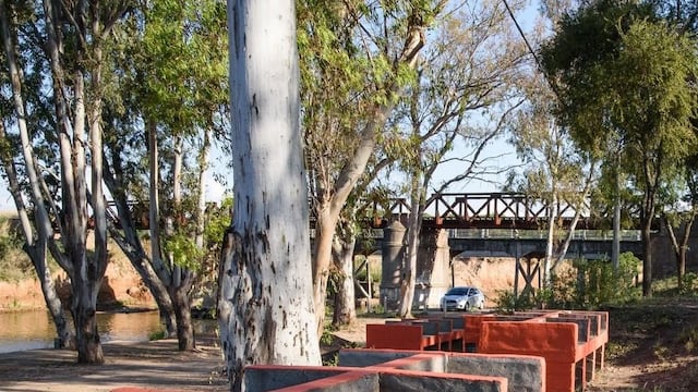 No se podrá hacer fuego al aire libre en Río Negro.