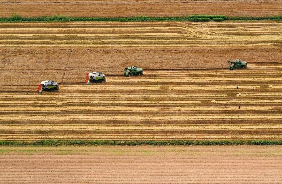 Campaña de la agricultura China en 2021, objetivos a corto y mediano plazo
