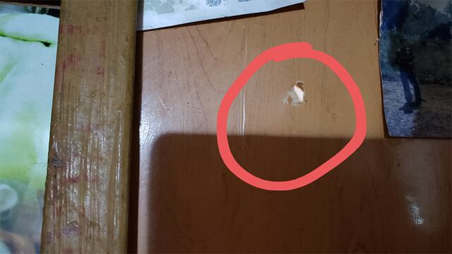 Los disparos se efectuaron con un arma calibre 22