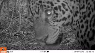 El trabajo realizado en conjunto con la Fundación ProYungas dio origen a los principios que hoy rigen al Programa Paisaje Productivo Protegido, el cual que en la actualidad suma alrededor de 40 empresas en Argentina, Chile, Paraguay y Bolivia.