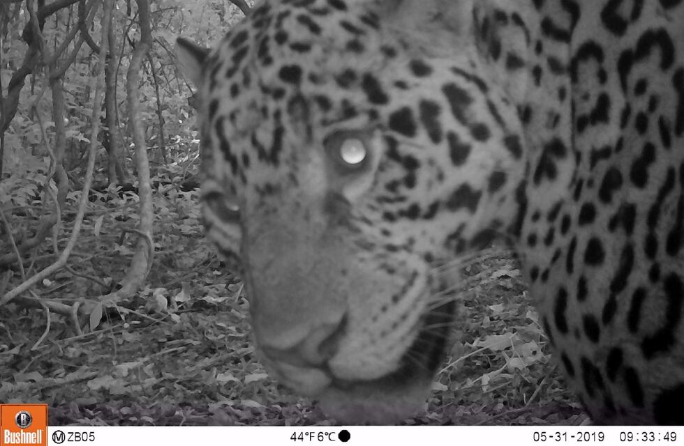 El Centro de Visitantes Ledesma, un caso de comunicación ambiental