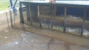 Agua turbia en la Planta Potabilizadora.