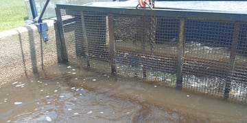 Agua turbia en la Planta Potabilizadora.