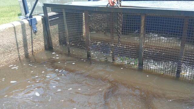 Agua turbia en la Planta Potabilizadora.