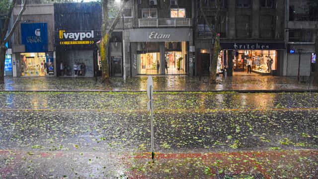 Tormentas fuertes en Mendoza: cayó granizo en Ciudad, Luján y Godoy Cruz 
Foto: Mariana Villa / Los Andes