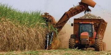 Los objetivos de la Ley 9.766 de "Promoción y Desarrollo de la Producción y Consumo de Biocombustibles y Bioenergía"