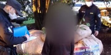 Lo detuvieron in fraganti cuando cosechaba yerba mate ajena en Campo Viera.