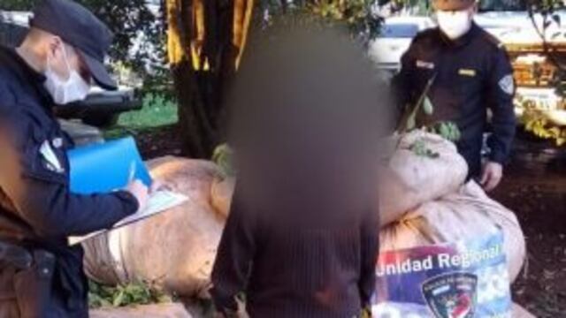 Lo detuvieron in fraganti cuando cosechaba yerba mate ajena en Campo Viera.