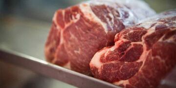 DE EXPORTACIÓN. A Europa se destinan cortes bovinos enfriados sin hueso, de primera calidad. (Foto de archivo - Secretaría de Agroindustria)