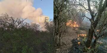 Un incendio afecta kilómetros de bosques nativos en Rivadavia Banda Sur, Salta.