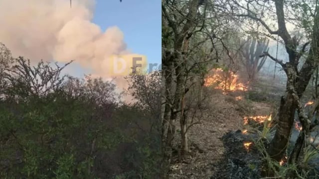 Un incendio afecta kilómetros de bosques nativos en Rivadavia Banda Sur, Salta.