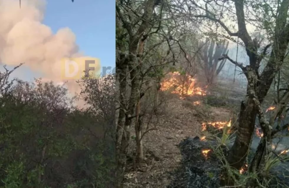 Incendios en Salta: el fuego afecta kilómetros de bosque nativo
