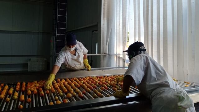 La Pulpera de San Rafael inició la temporada 2020-2021.