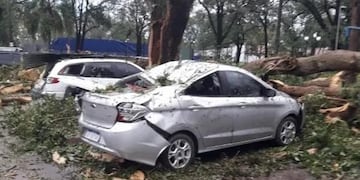 Un temporal provocó voladuras de techos y caídas de árboles en Jujuy.
