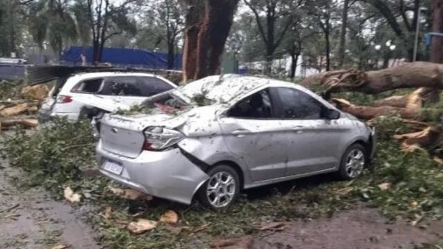 Un temporal provocó voladuras de techos y caídas de árboles en Jujuy.