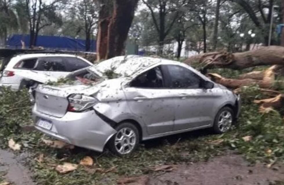 El temporal golpeó con inusitada fuerza en distintos puntos de Jujuy