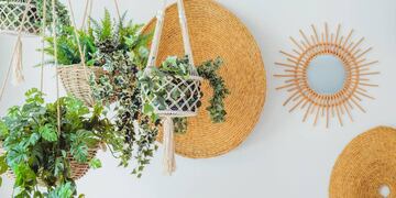 Según el Feng Shui.