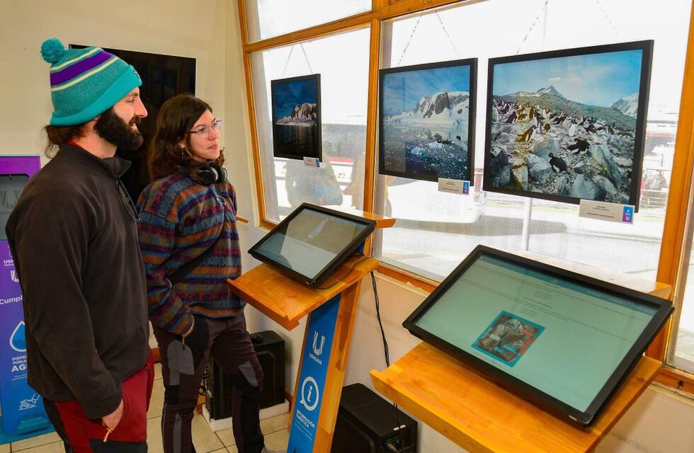 Una ventana a la Antártida: muestra fotográfica para descubrir el continente blanco