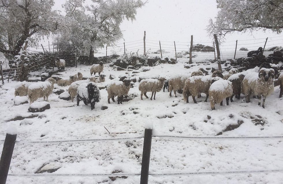 En el Día de La Primavera, la nieve tiñó de blanco las sierras de Córdoba: fotos y videos