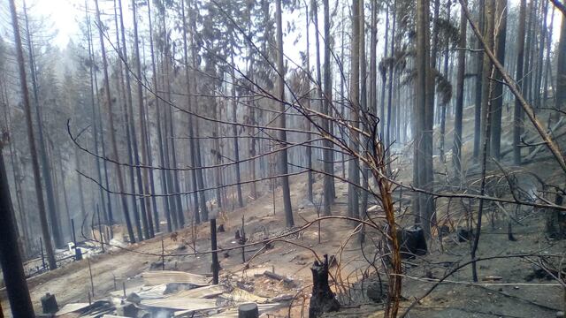 Las llamas arrasaron con todo.