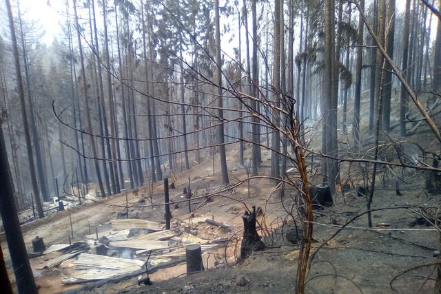 Las llamas arrasaron con todo.