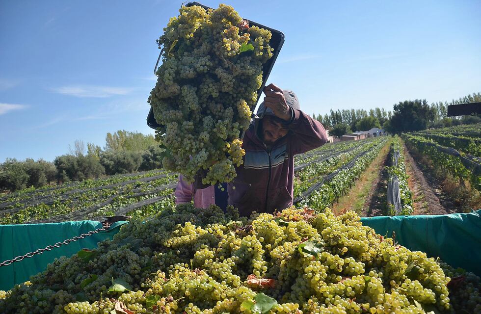 Lanzan líneas de crédito para industriales y productores mendocinos