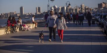 Los casos de coronavirus disminuyeron considerablemente en las últimas semanas