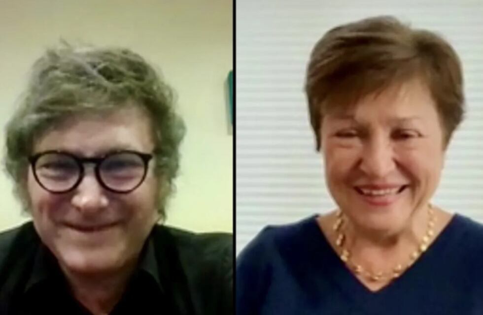 Milei dialogó con el FMI: “Le conté sobre nuestro plan de ajuste fiscal y nuestro programa monetario”