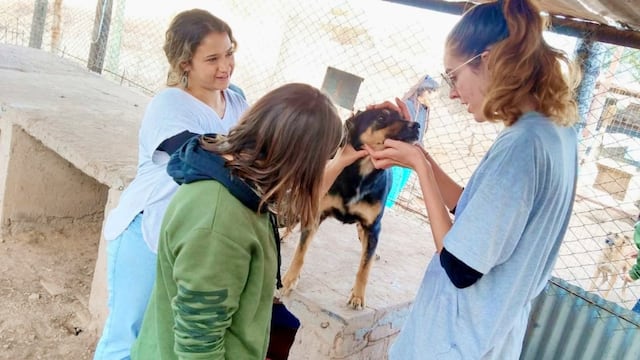 MOPROA, el refugio mendocino que le da un hogar lleno de amor a cientos de perritos callejeros