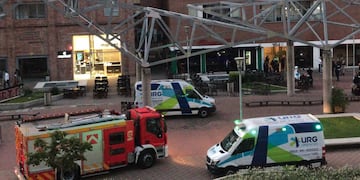 Los bomberos y personal médico montaron un gran operativo en Luis Carballo al 100.