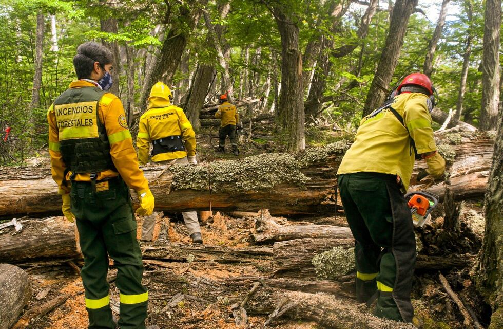 Tierra del Fuego: lanzan alerta por “altas probabilidades” de incendios forestales