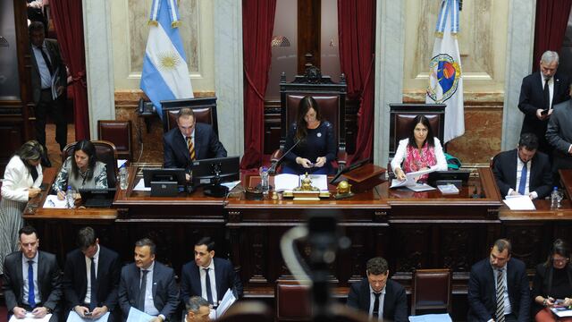 Milei confía en que el Senado aprobará la “ley bases” y le apunta a los gobernadores. Foto: Federico López Claro