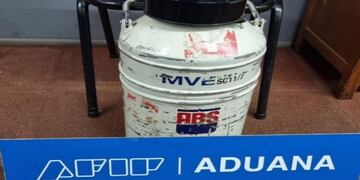 Puerto Iguazú: Aduana interceptó contrabando de embriones de toros congelados.