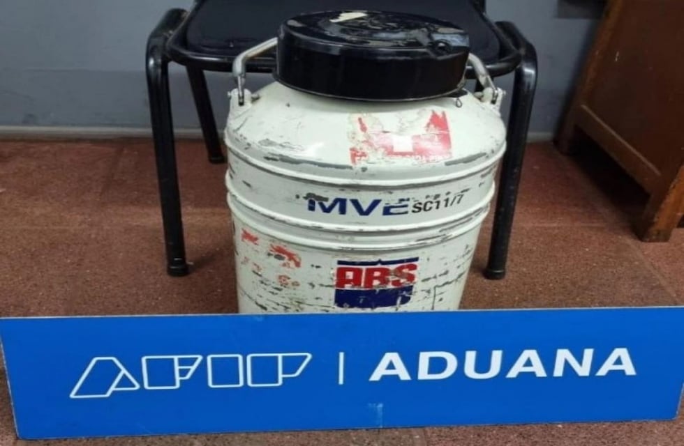 Puerto Iguazú: Aduana interceptó contrabando de embriones de toros congelados