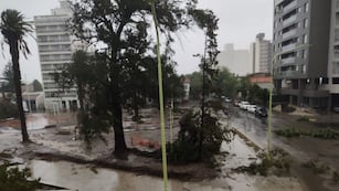 En Bahía Blanca hablan de "catástrofe", con muertes, heridos y evacuado (gentileza).